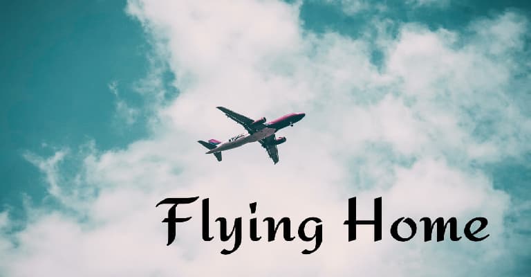 Fly Back