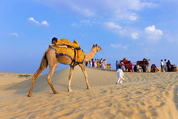 Jaisalmer-Desert-camel-Safari