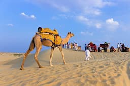 Jaisalmer-Desert-camel-Safari