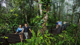 Kuranda tour