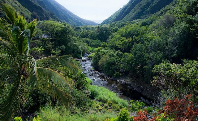Aloha Hawaii - SIC Tour