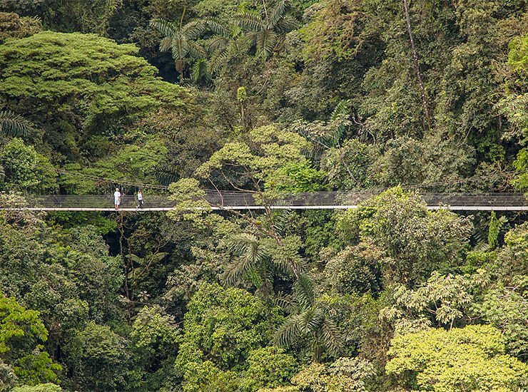 Arenal Hanging Bridges