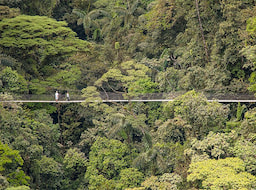 Arenal Hanging Bridges
