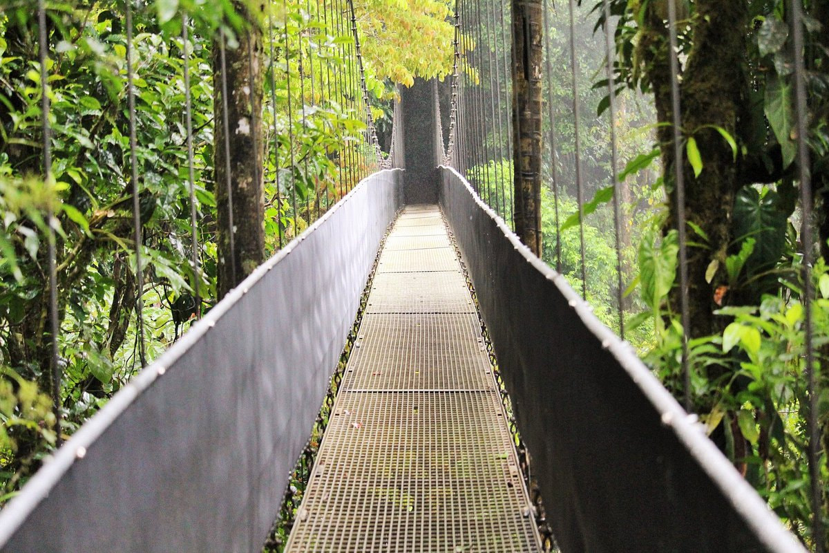 Arenal Hanging Bridges