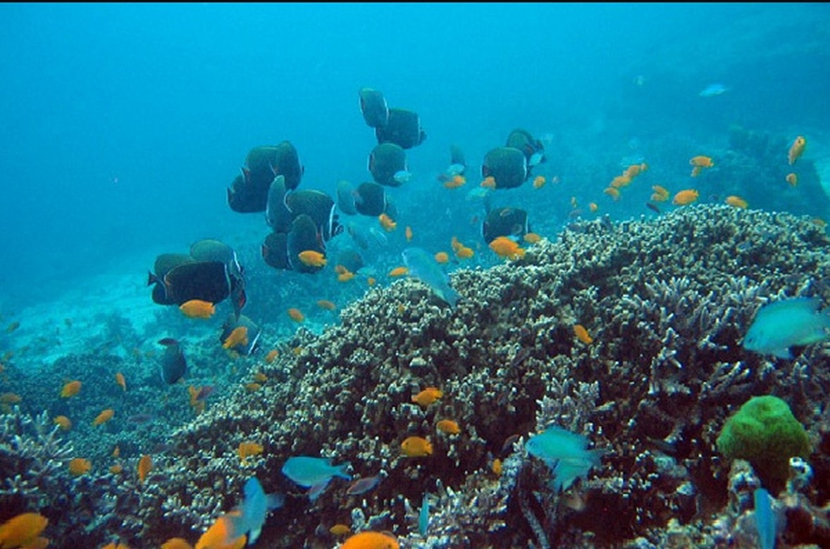 Mahatma Gandhi National Park