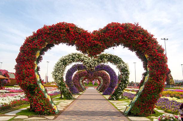 Miracle Garden