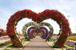 Miracle Garden