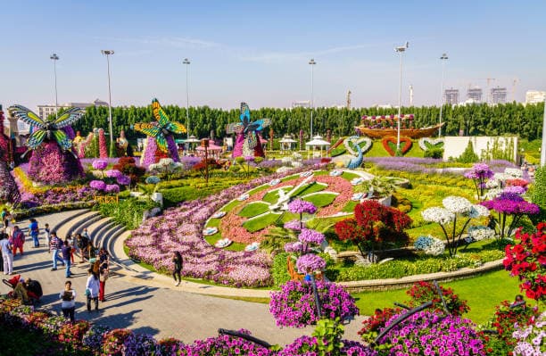 Miracle Garden