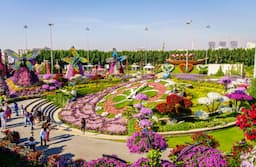 Miracle Garden