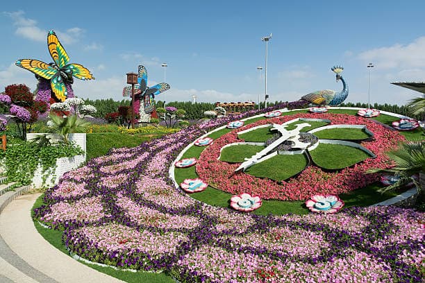 Miracle Garden