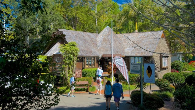 Sunshine Coast with Montville