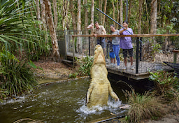 Crocodile Adventures