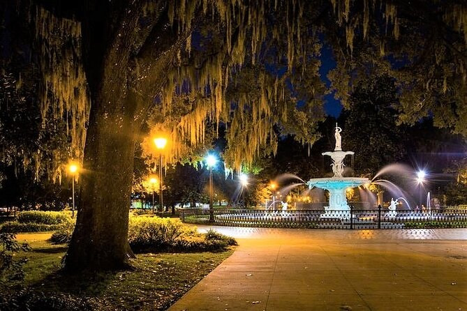 Night Illumination Tour