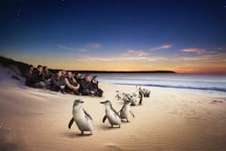 Penguin Parade