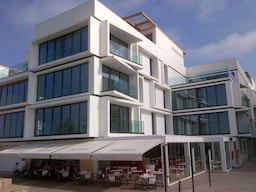 The Residential Area of Anfa