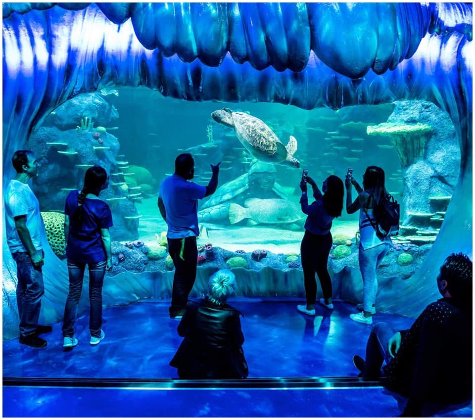 Sea Aquarium Sydney