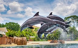 Sea world Orlando