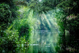 Tortuguero National Park