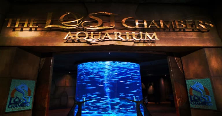 Lost Chambers Aquarium