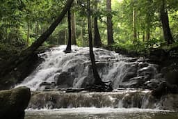 Waterfall Phuket