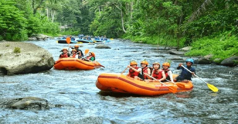 White Water Rafting At Ayung River