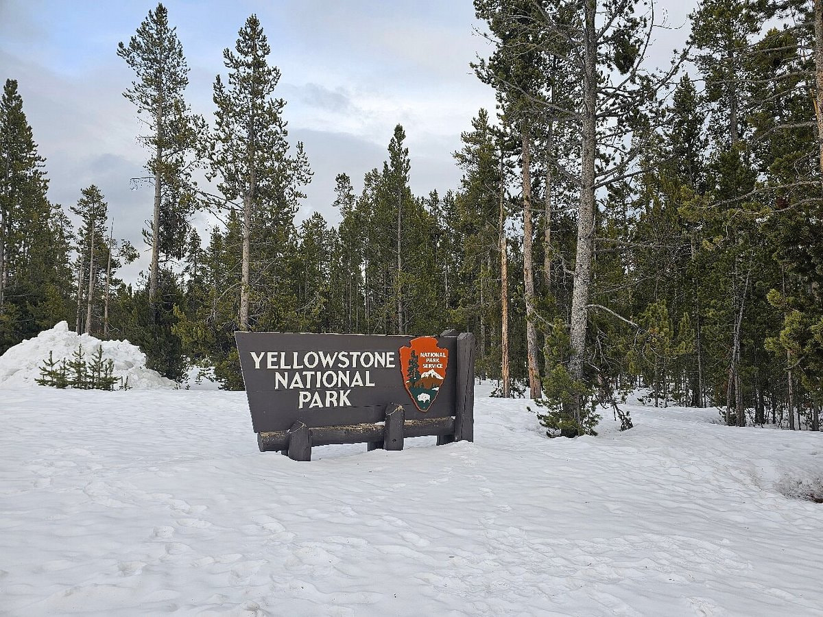 Yellow Stone National Park In USA