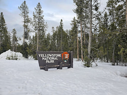 Yellow Stone National Park In USA