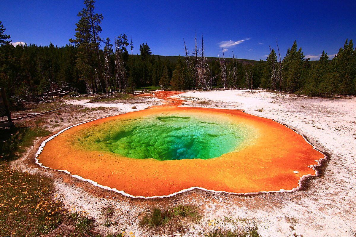 Yellow Stone National Park In USA