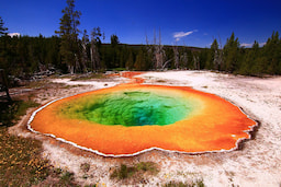 Yellow Stone National Park In USA