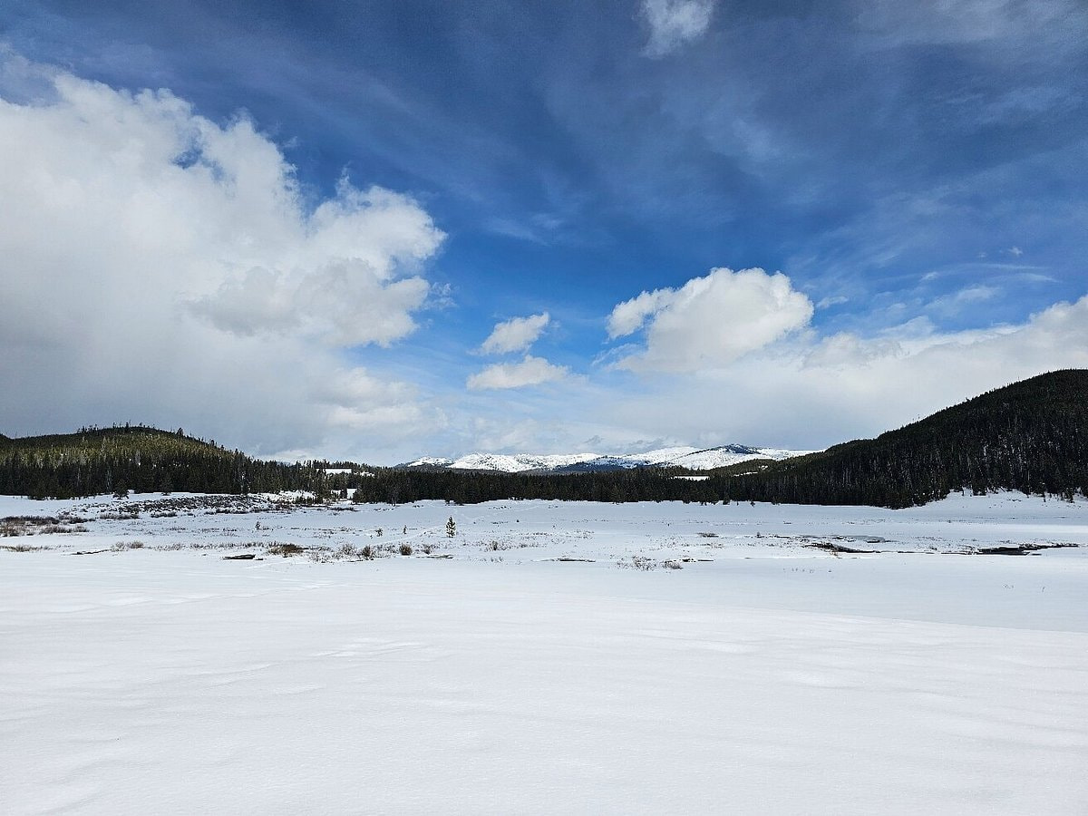 Yellow Stone National Park In USA
