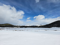 Yellow Stone National Park In USA