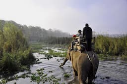 Elephant safari in Chitwan National Park