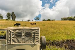 Game Drive in Moreimi