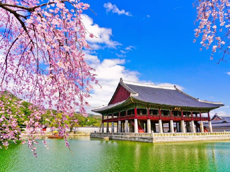 Best time to visit in South Korea