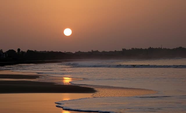 Beaches and Wildlife