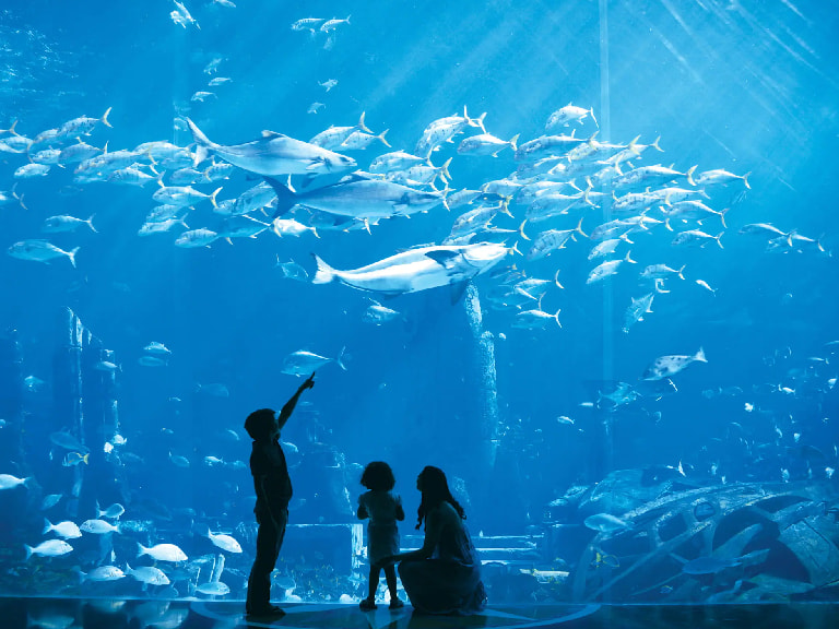 Aquaventure and Lost Chambers - 1