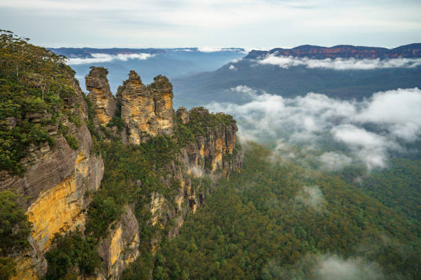 Blue Mountain Tour - 1