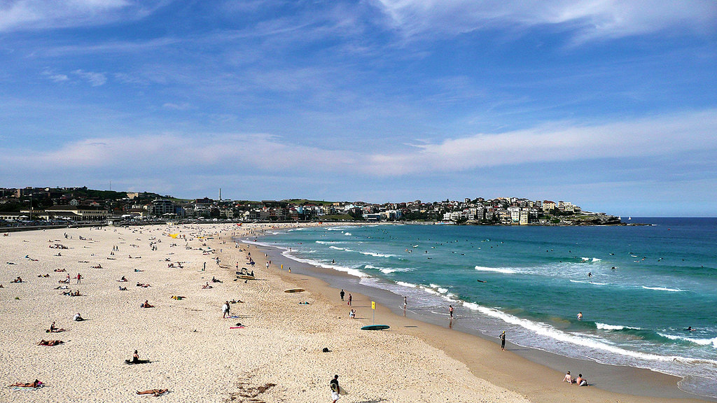 Half Day City tour with Bondi Beach Tour - 1