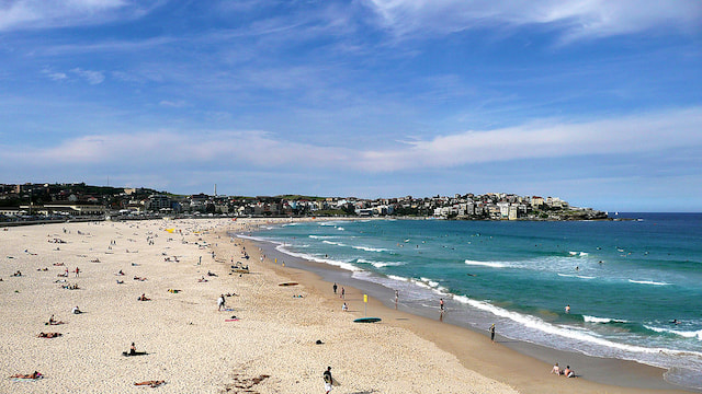 Half Day City tour with Bondi Beach Tour - 1