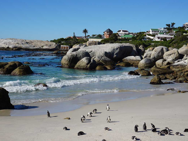 Boulders Beach - 1