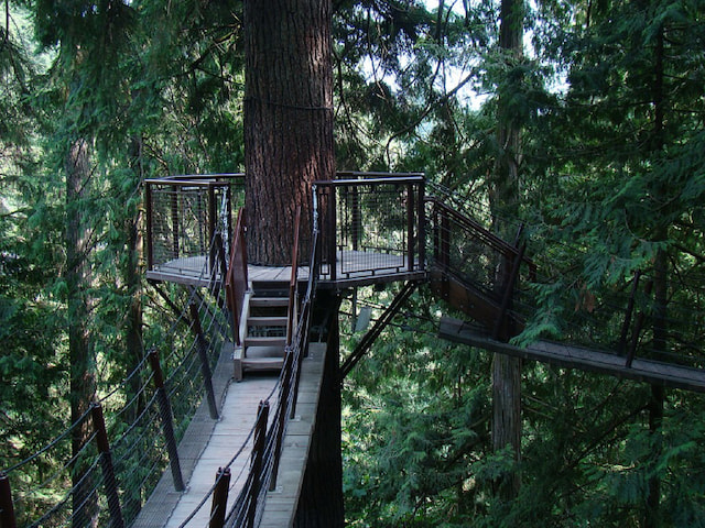 Capilano Suspension Bridge - 4