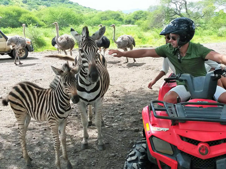 Casela World of Adventures - 1