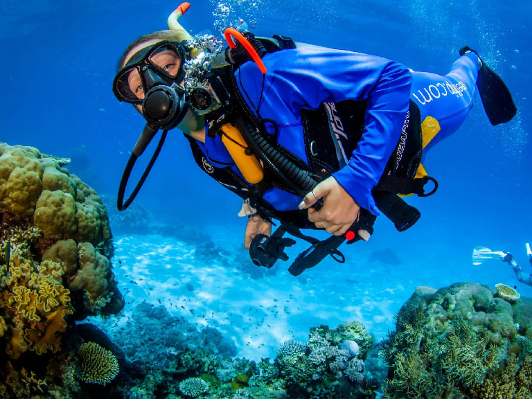 Dive into the Great Barrier Reef - 1