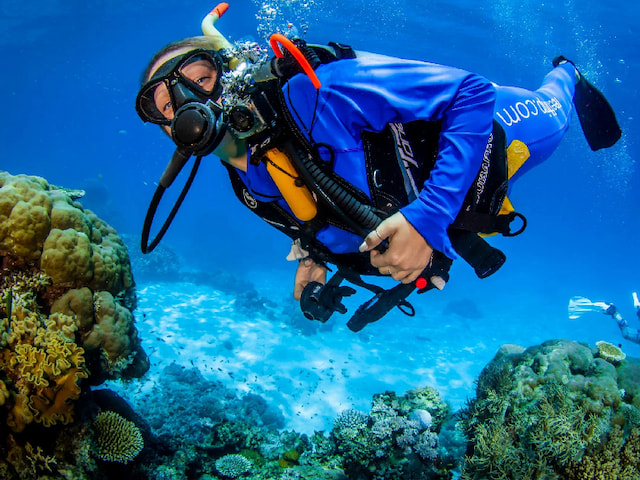 Dive into the Great Barrier Reef - 1