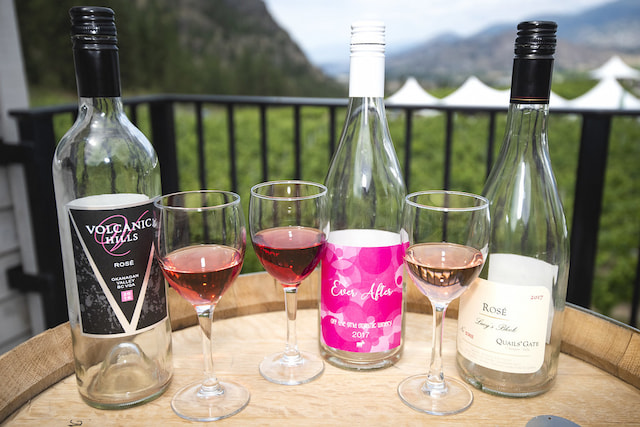 Drink Wine In Okanagan Valley-1