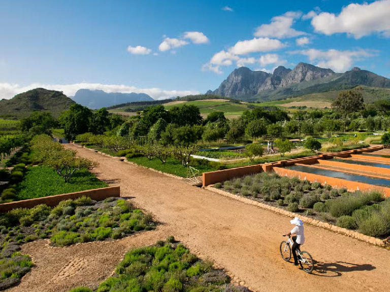 Drink Wine at Babylonstoren - 1