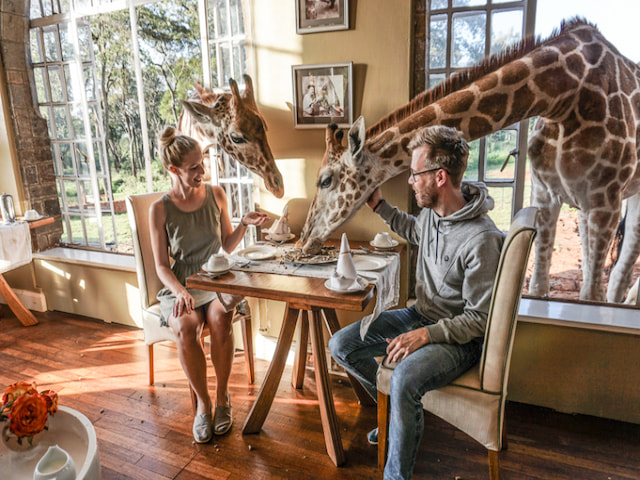 Eat breakfast with Giraffes at Giraffe Manor - 1