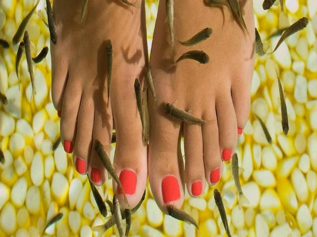 Experience Feet Fish Spa - 1