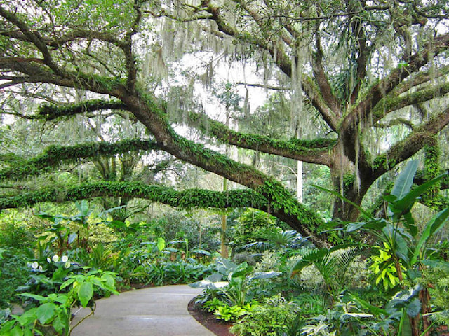 Enjoy Some Calm At Harry P Leu Gardens