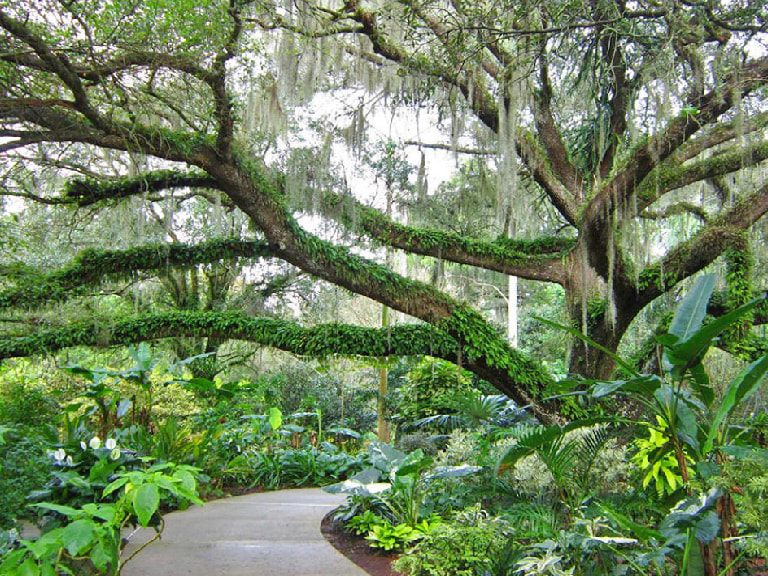 Enjoy Some Calm At Harry P Leu Gardens